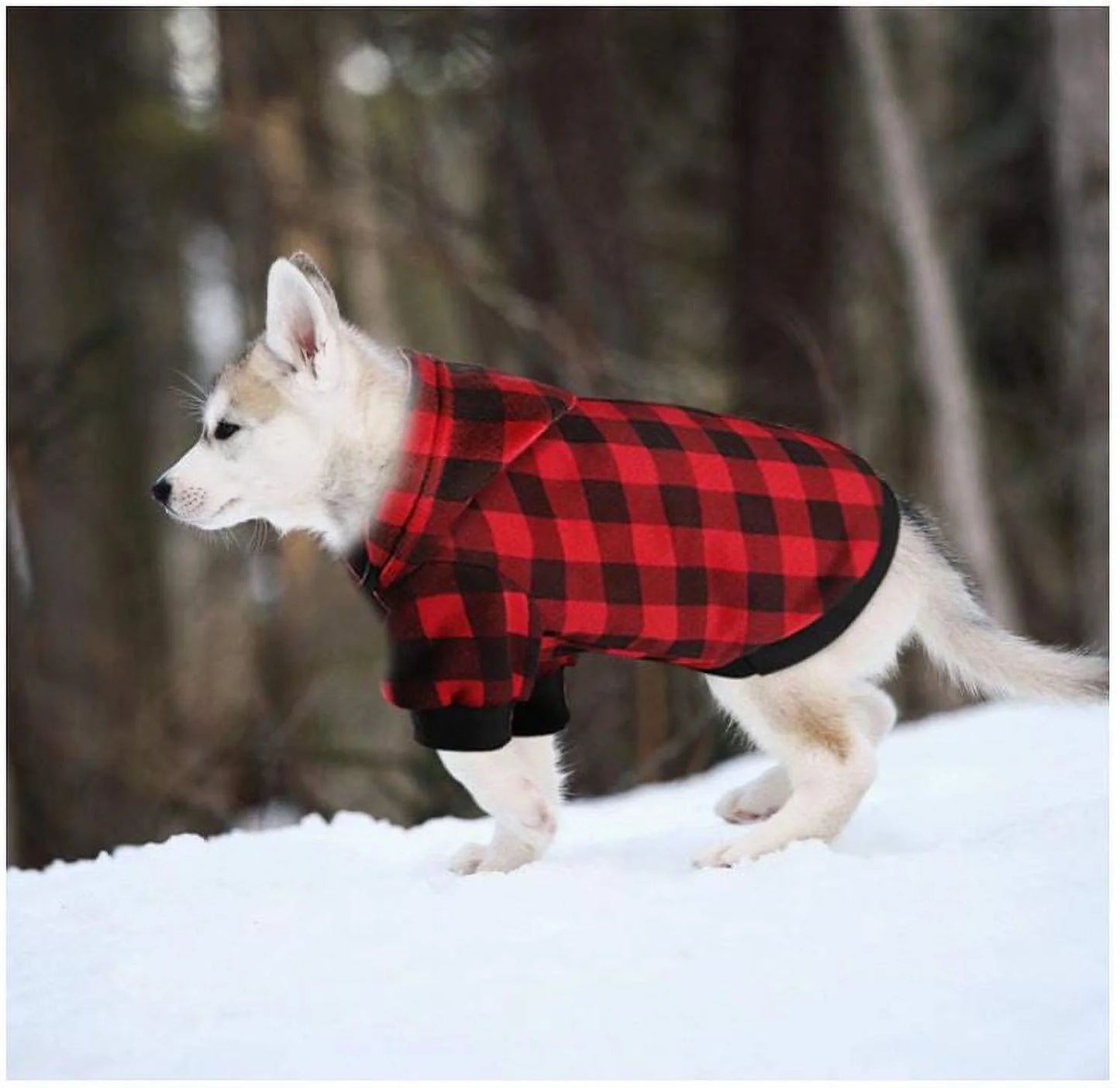 Premium Warm and Soft Hoodie Sweatshirt for Extra Small Dogs and Cats