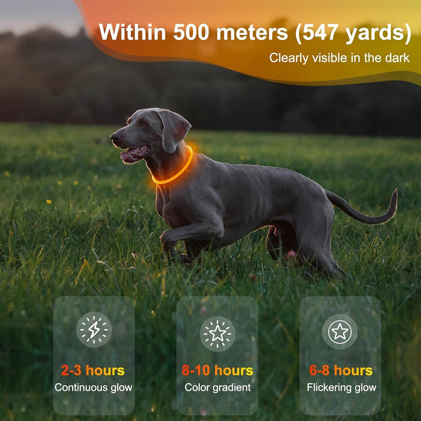 Rechargeable Waterproof Lighted Dog Collar - High Visibility Glowing Collar for Night Walking (Orange)