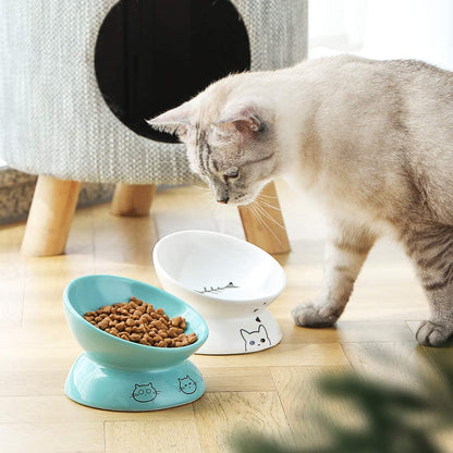 Elevated Ceramic Cat Bowls for Food and Water, Slanted Design for Spine Protection and Stress-Free Feeding, Backflow Prevention (White)