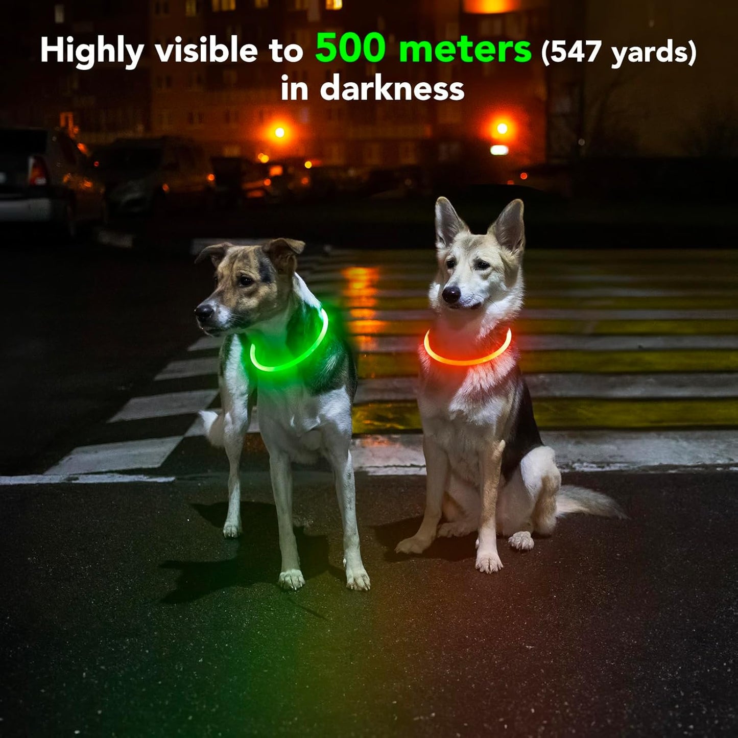 Rechargeable Waterproof Lighted Dog Collar - High Visibility Glowing Collar for Night Walking (Orange)
