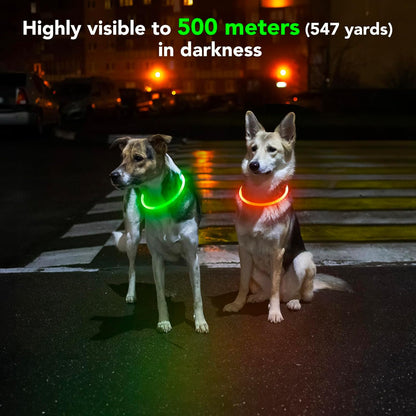 Rechargeable Waterproof Lighted Dog Collar - High Visibility Glowing Collar for Night Walking (Orange)