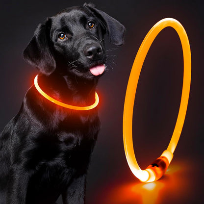 Rechargeable Waterproof Lighted Dog Collar - High Visibility Glowing Collar for Night Walking (Orange)