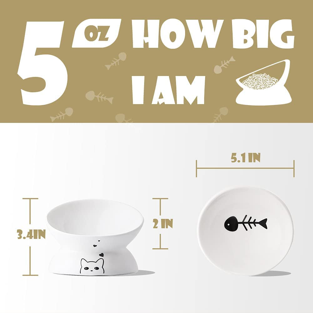 Elevated Ceramic Cat Bowls for Food and Water, Slanted Design for Spine Protection and Stress-Free Feeding, Backflow Prevention (White)