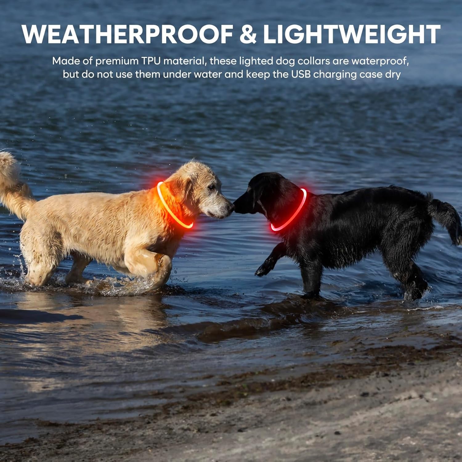 Rechargeable Waterproof Lighted Dog Collar - High Visibility Glowing Collar for Night Walking (Orange)