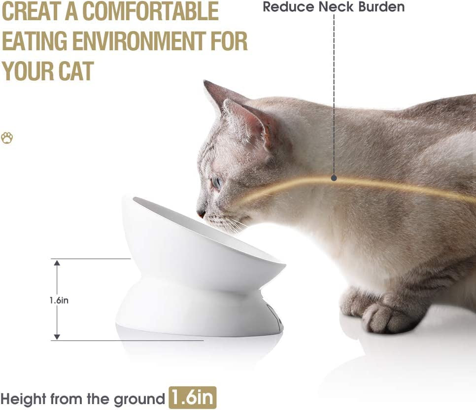 Elevated Ceramic Cat Bowls for Food and Water, Slanted Design for Spine Protection and Stress-Free Feeding, Backflow Prevention (White)