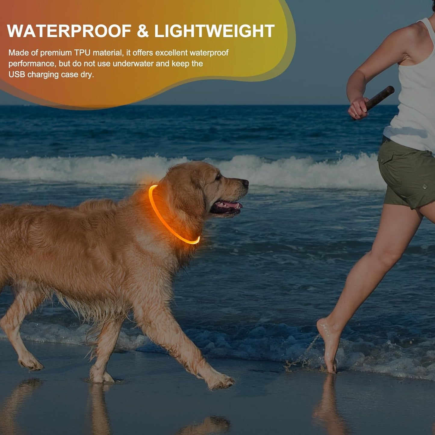 Rechargeable Waterproof Lighted Dog Collar - High Visibility Glowing Collar for Night Walking (Orange)