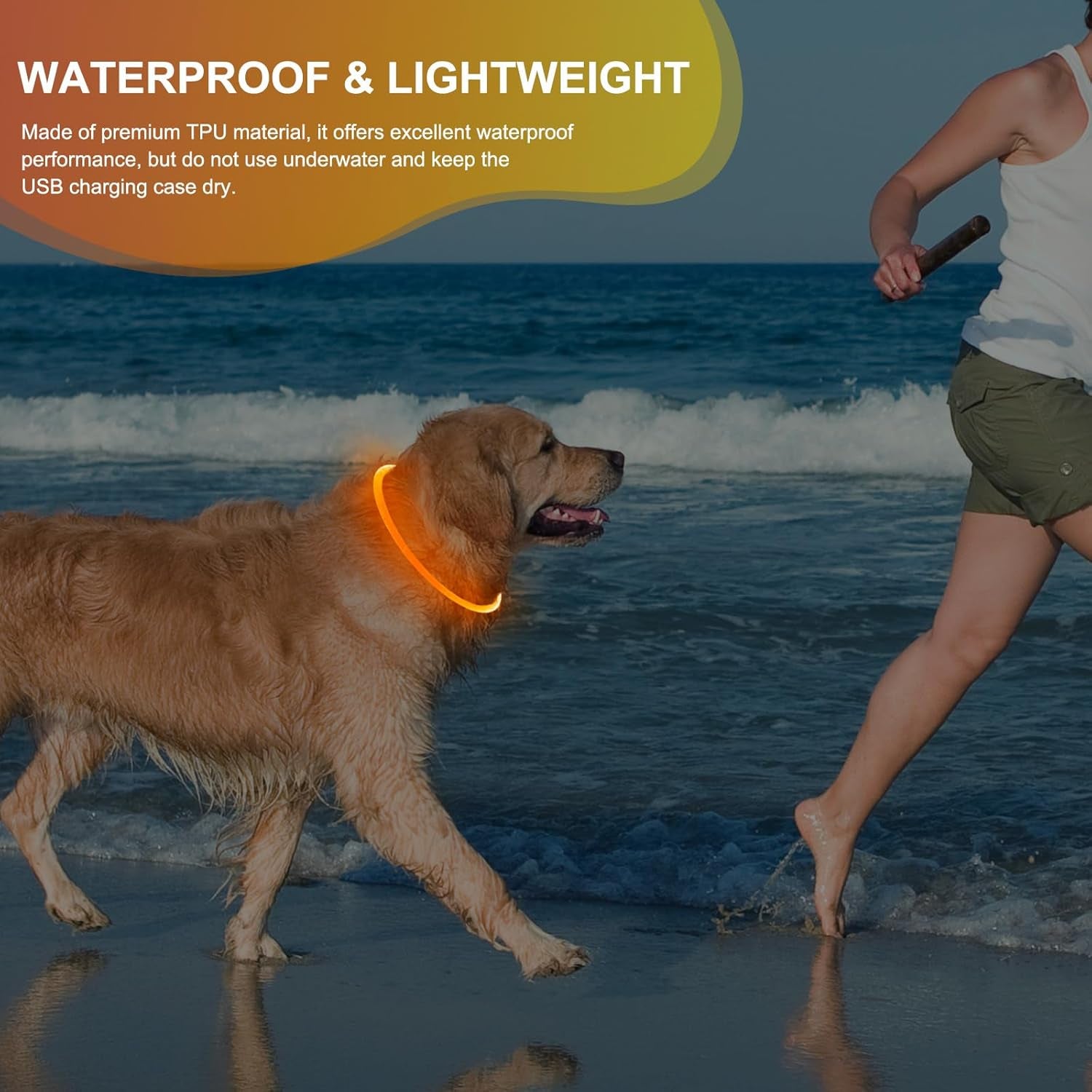Rechargeable Waterproof Lighted Dog Collar - High Visibility Glowing Collar for Night Walking (Orange)