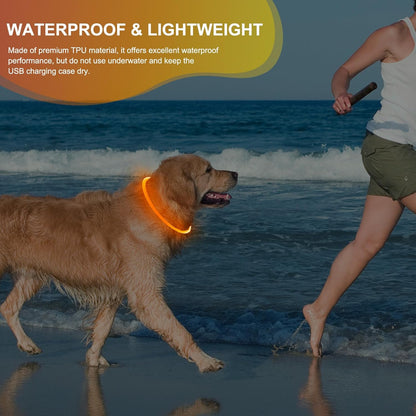 Rechargeable Waterproof Lighted Dog Collar - High Visibility Glowing Collar for Night Walking (Orange)