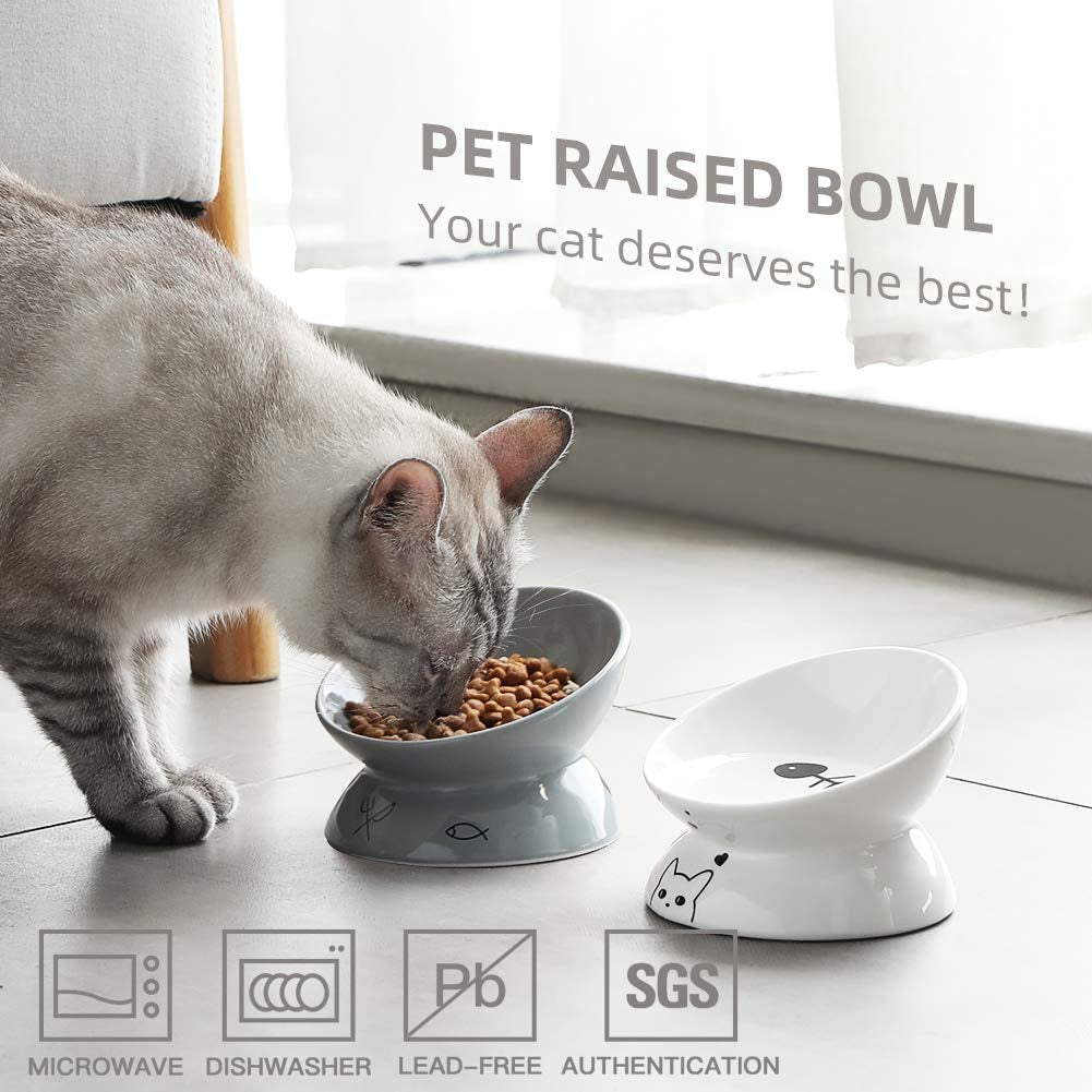 Elevated Ceramic Cat Bowls for Food and Water, Slanted Design for Spine Protection and Stress-Free Feeding, Backflow Prevention (White)